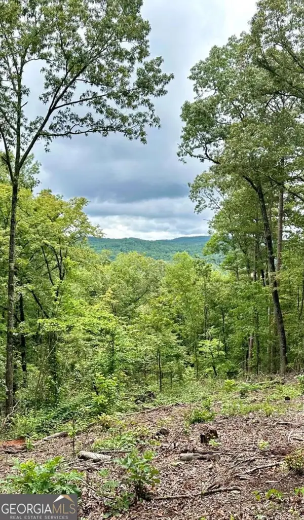 LOT 314 Pebble Trace #314, Talking Rock, GA 30175