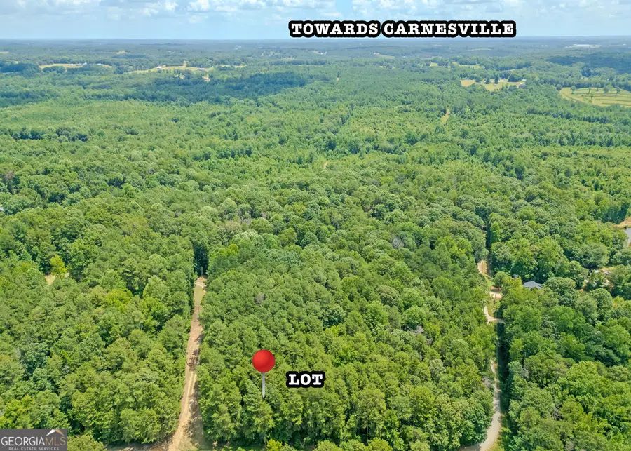 LOT 10 Benttree Circle, Toccoa, GA 30577 - Image #3