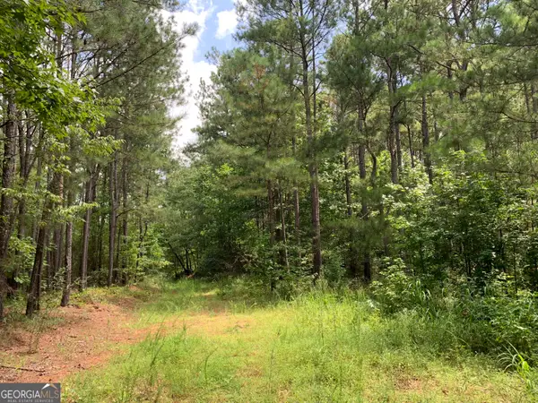 0 County Road 249, Woodland, AL 36280