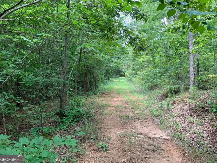 0 County Road 249, Woodland, AL 36280 - Image #2