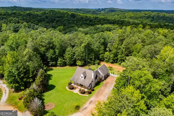 9800 Court Lynn Lane, Winston, GA 30187