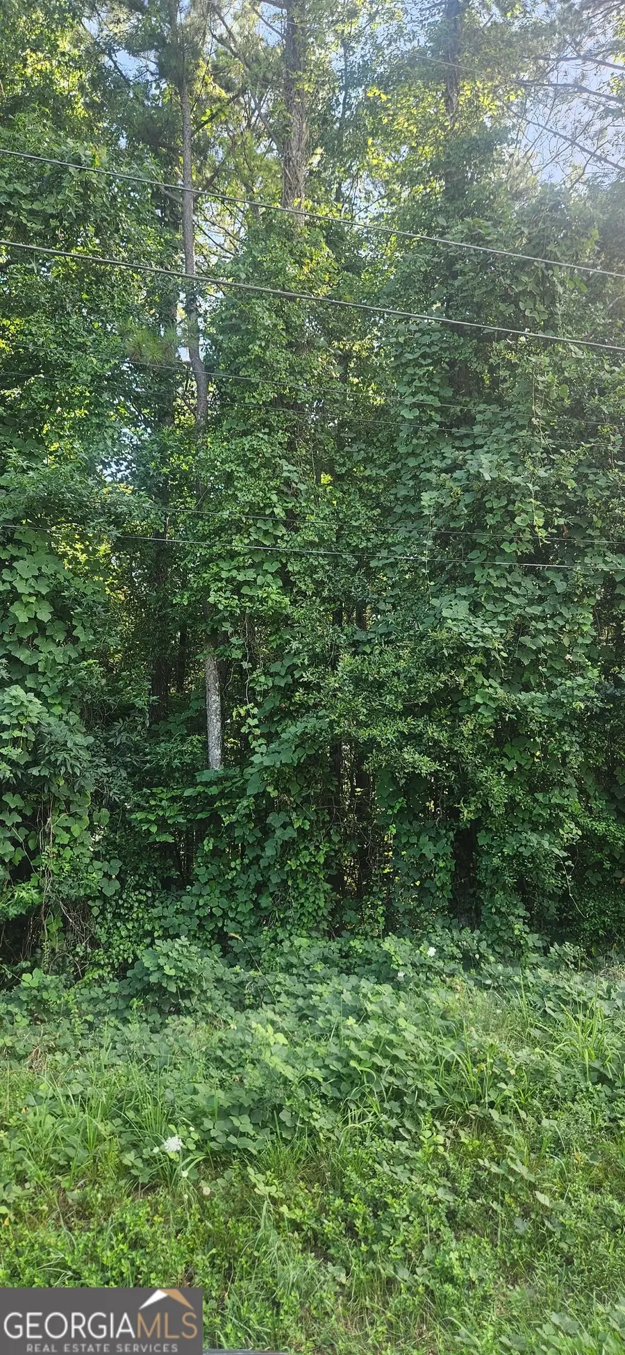 0 Conners Road, Villa Rica, GA 30180 - Image #2