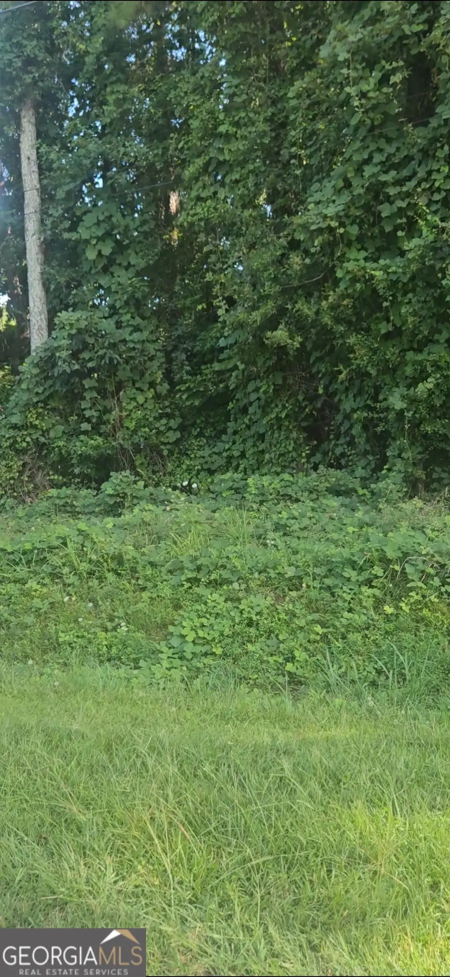 0 Conners Road, Villa Rica, GA 30180 - Image #3