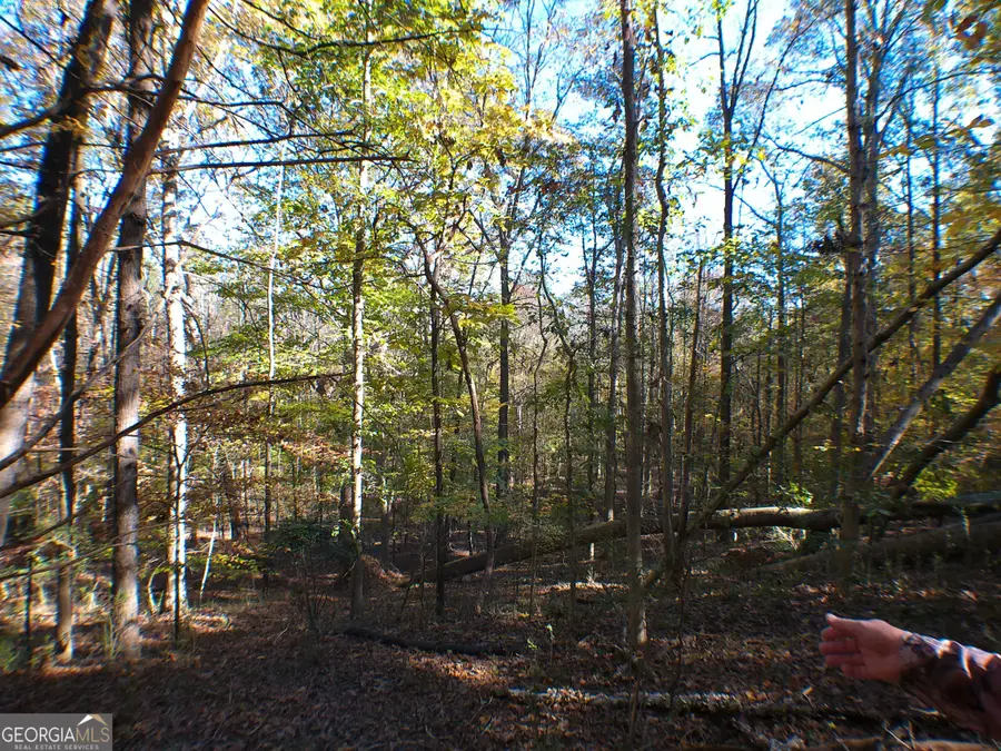 0 Dusty Road, Bowman, GA 30624 - Image #3