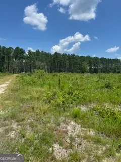 87.21 AC Bay Branch Church Road, Claxton, GA 30417 - Image #3