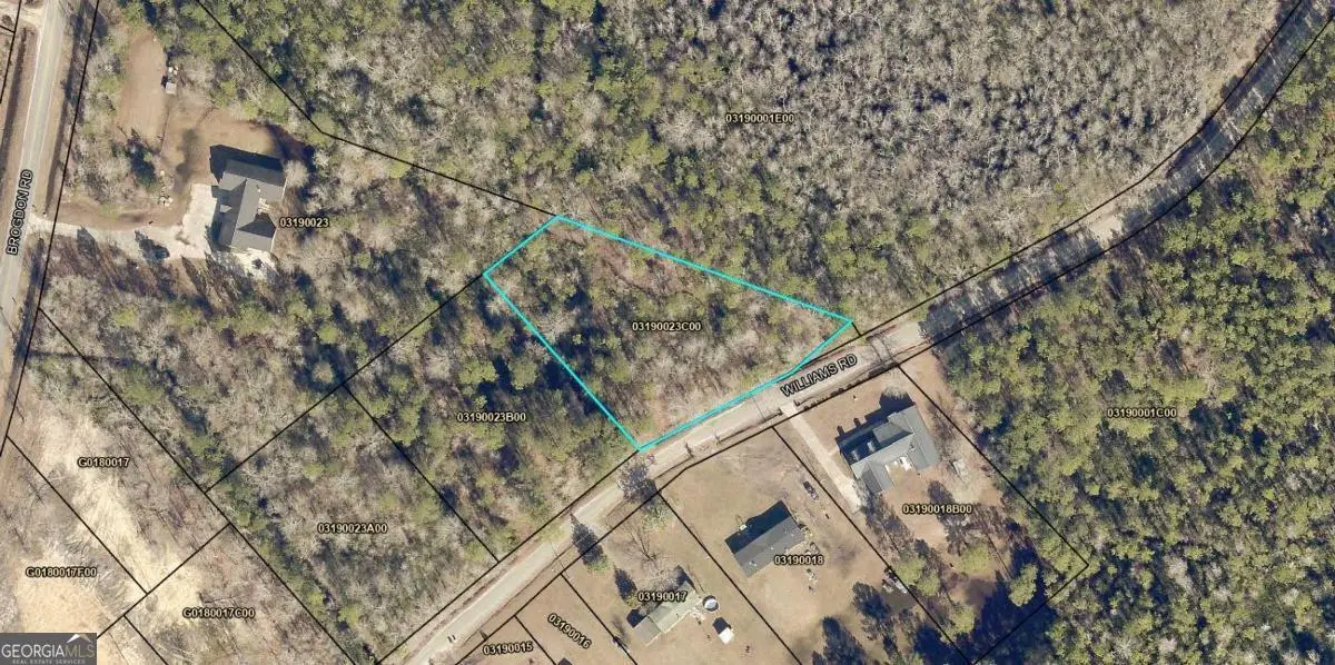 0 Williams Street #TRACT 3, Guyton, GA 31312 - Image #1