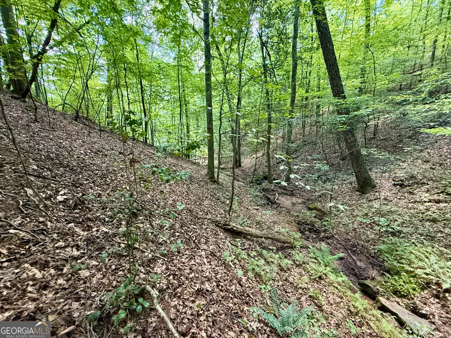 79 River Overlook Lane S, Ellijay, GA 30540 - #3