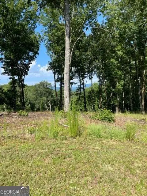 119 Highland Park, Blairsville, GA 30512