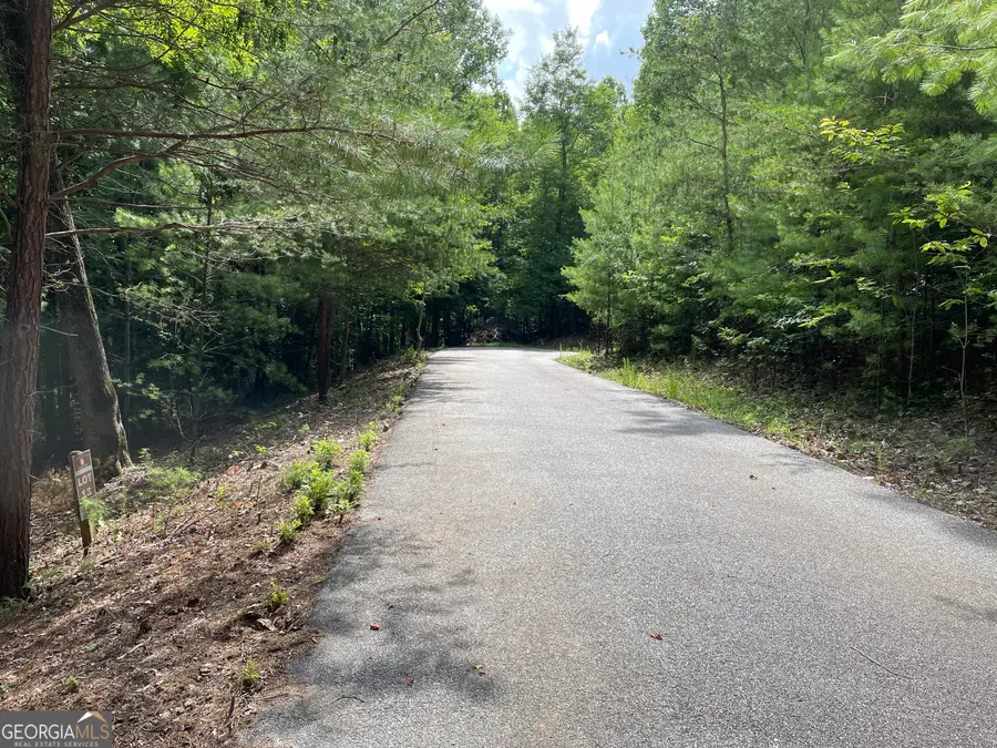 LOT13 Sour Apple Lane #13, Blairsville, GA 30512 - #3