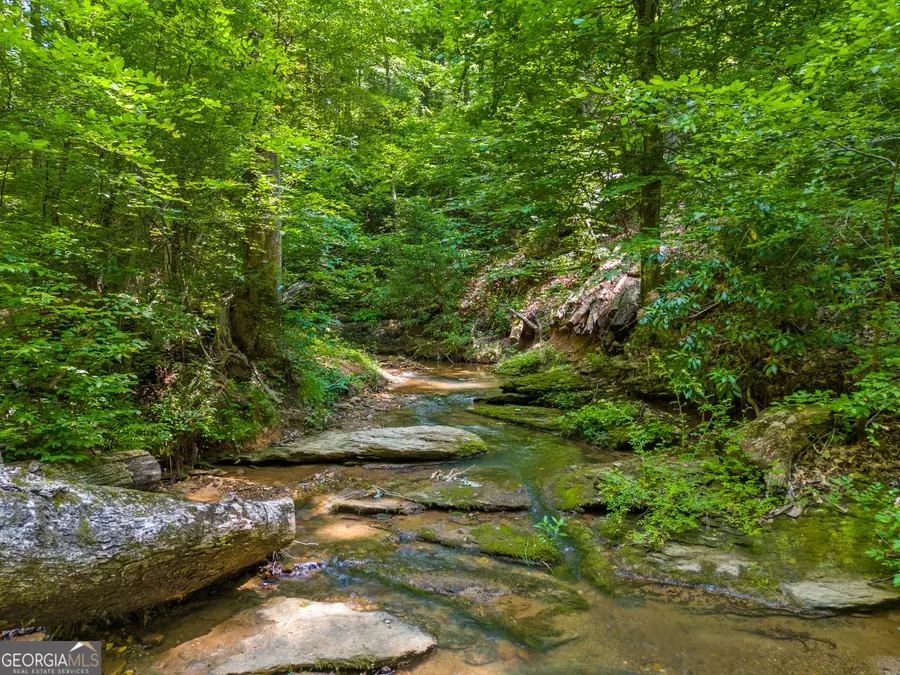 100 AC Mockingbird Lane, Jasper, GA 30143 - Image #2