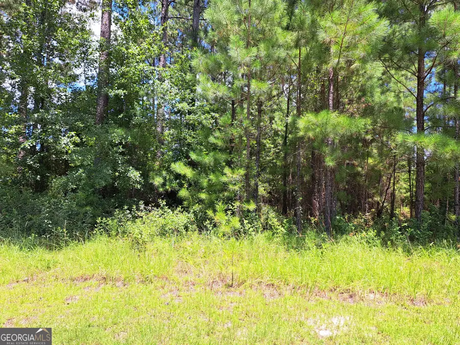 0 Shoreline Drive, Kingsland, GA 31548 - Image #3