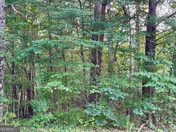 0 Gilreath Mill Road, Menlo, GA 30731