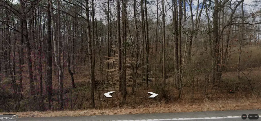 0 Highway 100 #TRACT 2, Waco, GA 30182 - Image #3