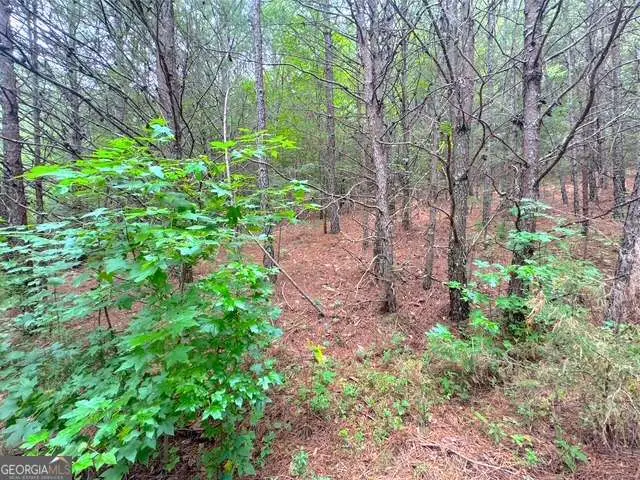 49 Iron Mountain Road Nw, Adairsville, GA 30103 - Image #3