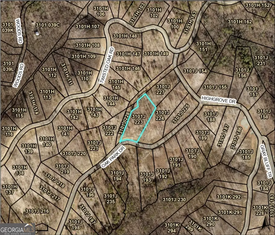 LOT 223 Oak Park Drive, Talking Rock, GA 30175 - Image #2