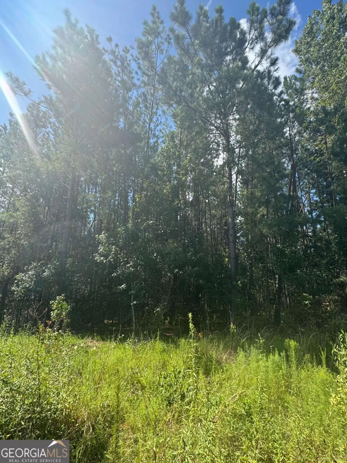 0 Dubberly Road, Baxley, GA 31513 - Image #1