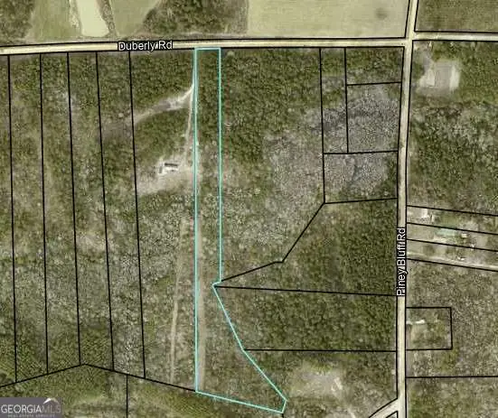 0 Dubberly Road, Baxley, GA 31513 - Image #3