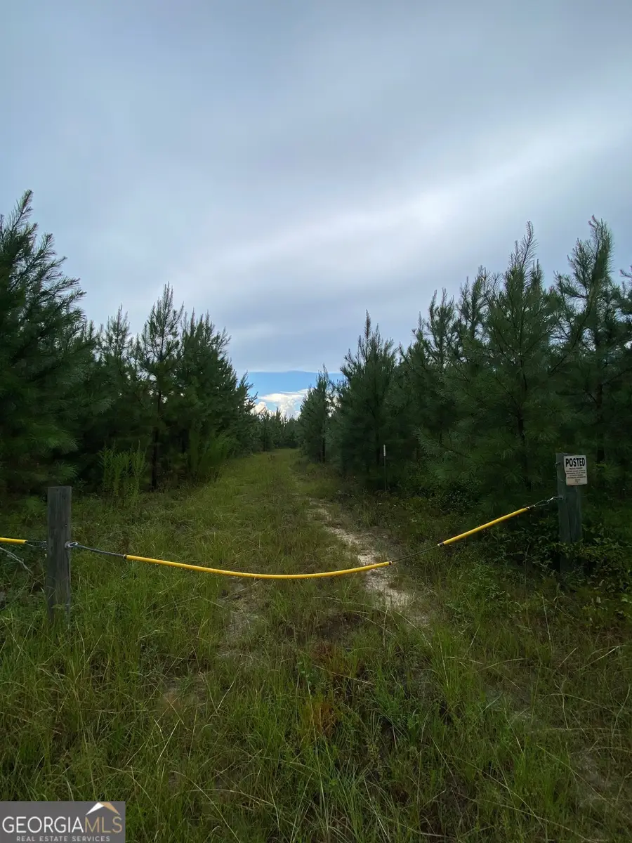 0 Highway 242, Bartow, GA 30413 - Image #2