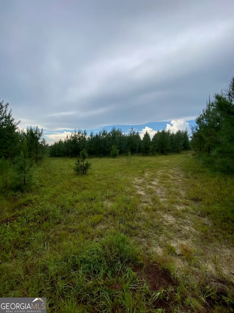 0 Highway 242, Bartow, GA 30413 - Image #3