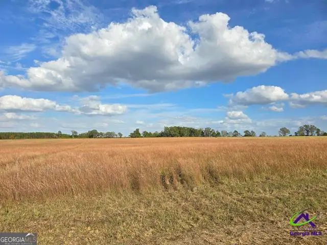 16 Hay Field Road, Cochran, GA 31014 - Image #3