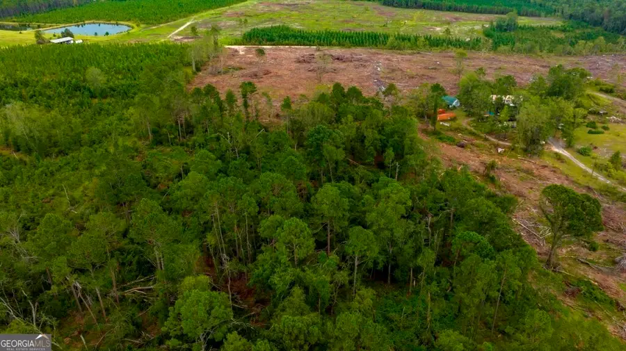 0 Macedonia Church Road, McRae-helena, GA 31055 - Image #3