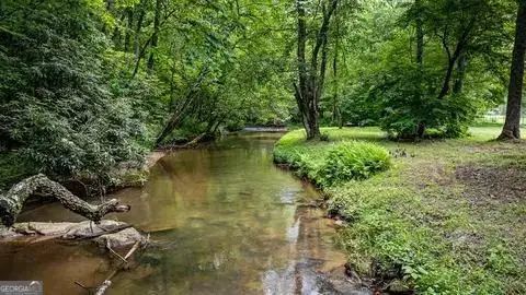 LT 1 Newberry Drive, Mineral Bluff, GA 30559 - Image #1