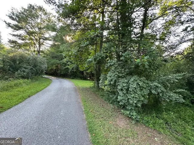 LT 1 Newberry Drive, Mineral Bluff, GA 30559 - Image #2