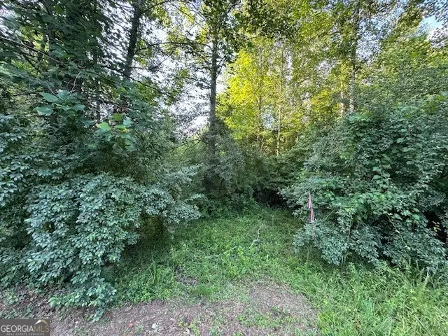 LT 1 Newberry Drive, Mineral Bluff, GA 30559 - Image #3