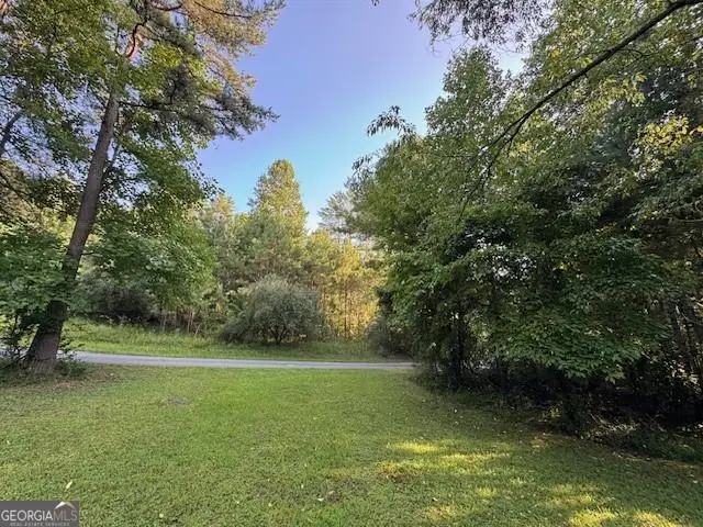 1.18 Newberry Drive, Mineral Bluff, GA 30559 - Image #1