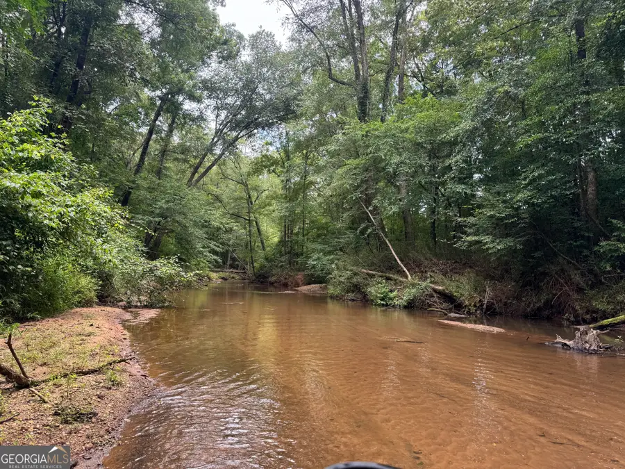 180.14 AC Johnson Mill Road, Hamilton, GA 31811 - Image #2