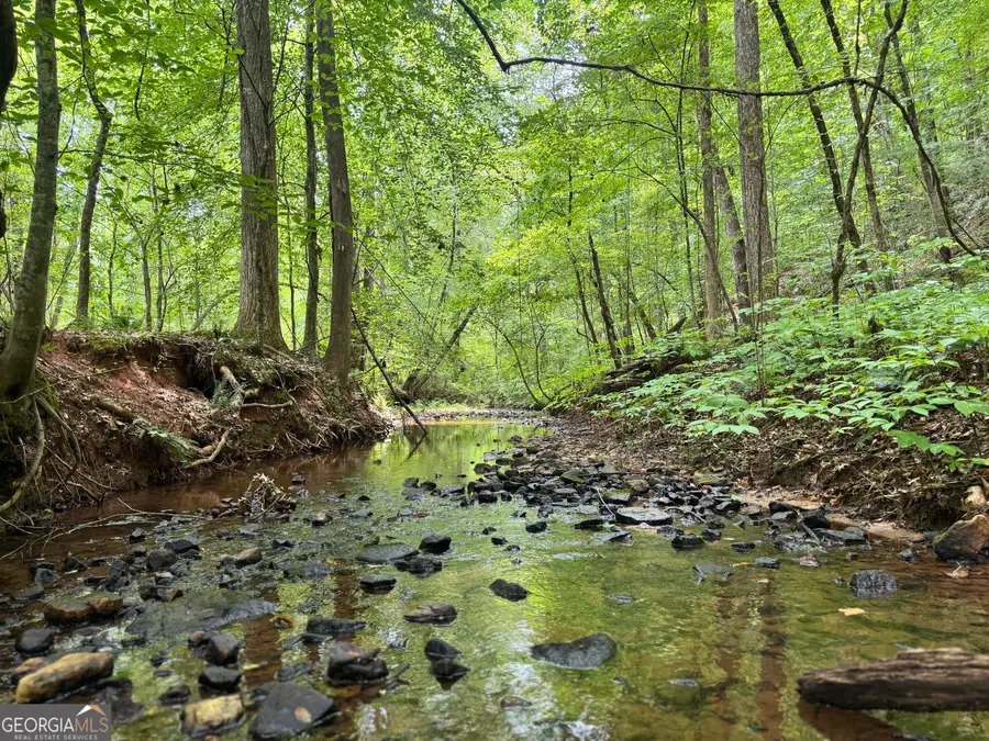 180.14 AC Johnson Mill Road, Hamilton, GA 31811 - Image #3