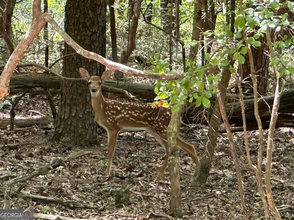 0 Oak Trace E, Jasper, GA 30143