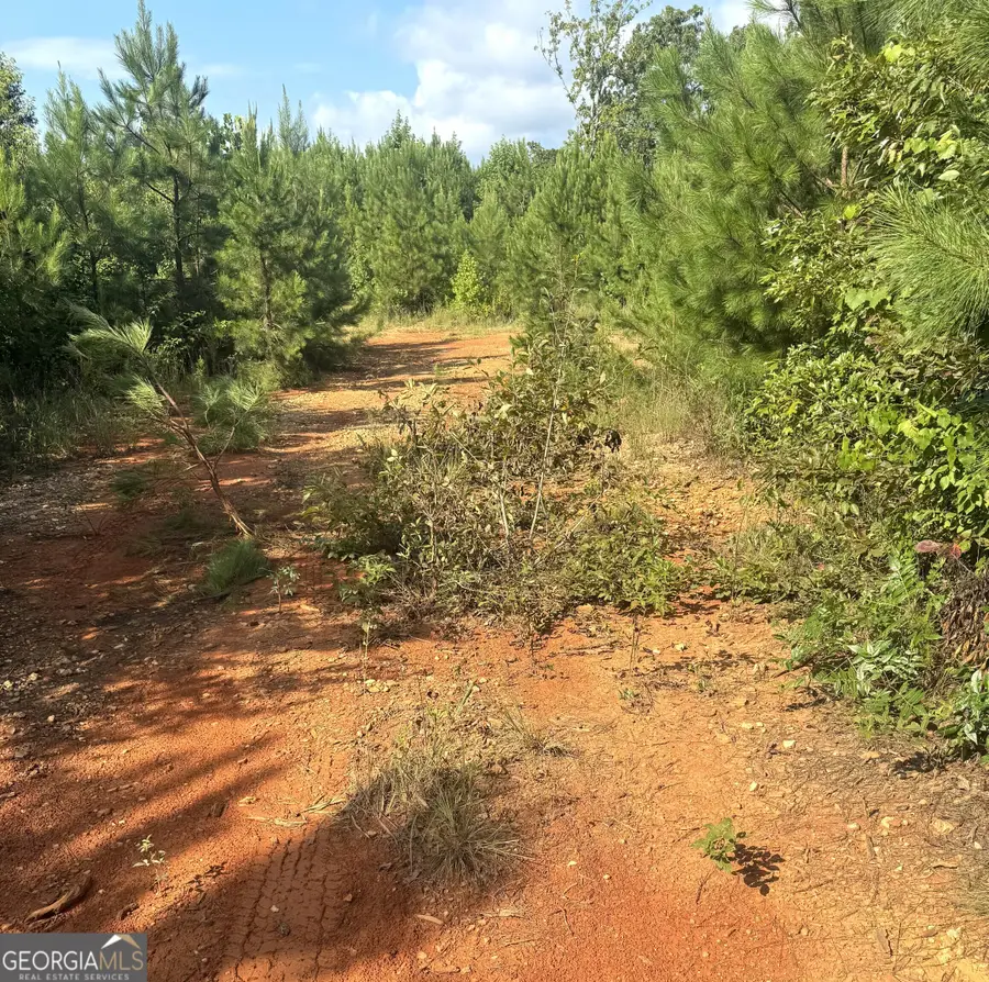 0 County Road 49, Muscadine, AL 36269 - Image #3