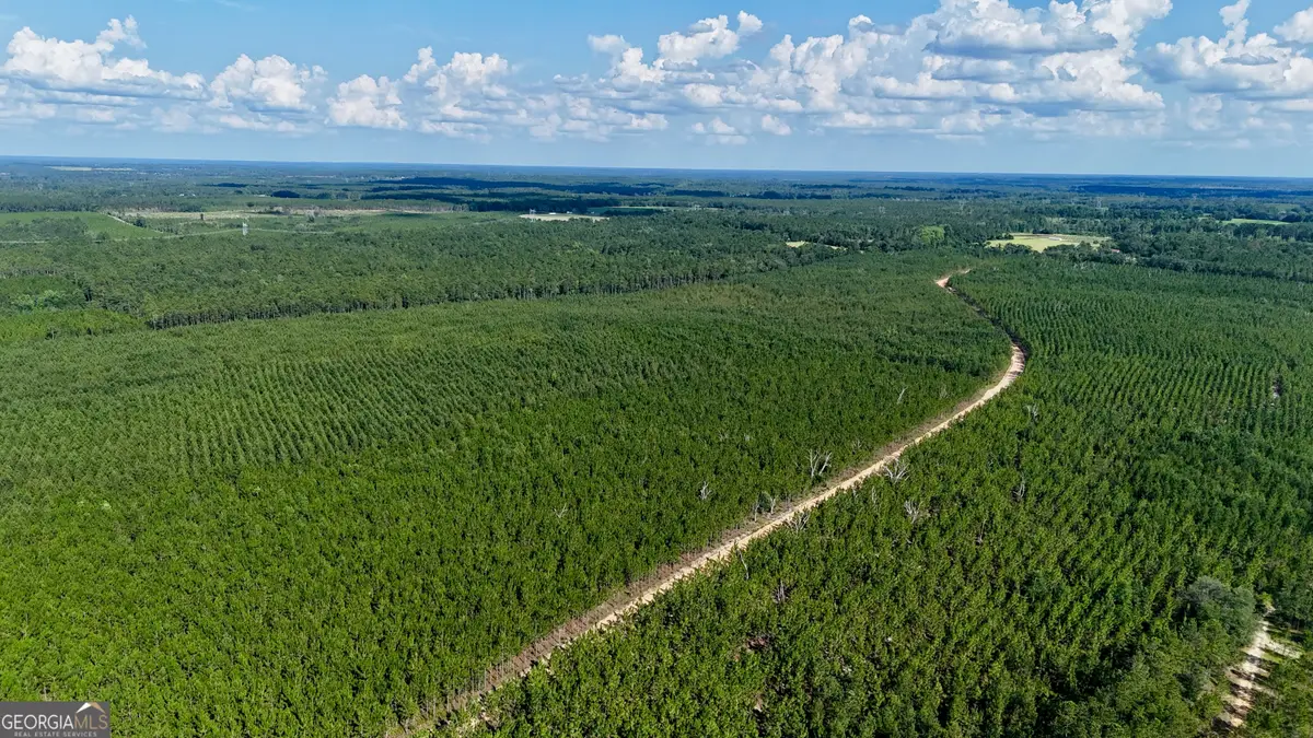 0 Penny Morris Road, Baxley, GA 31513 - #1