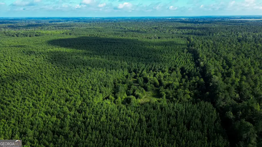 0 Newman Smith Road, Bartow, GA 30413 - Image #3