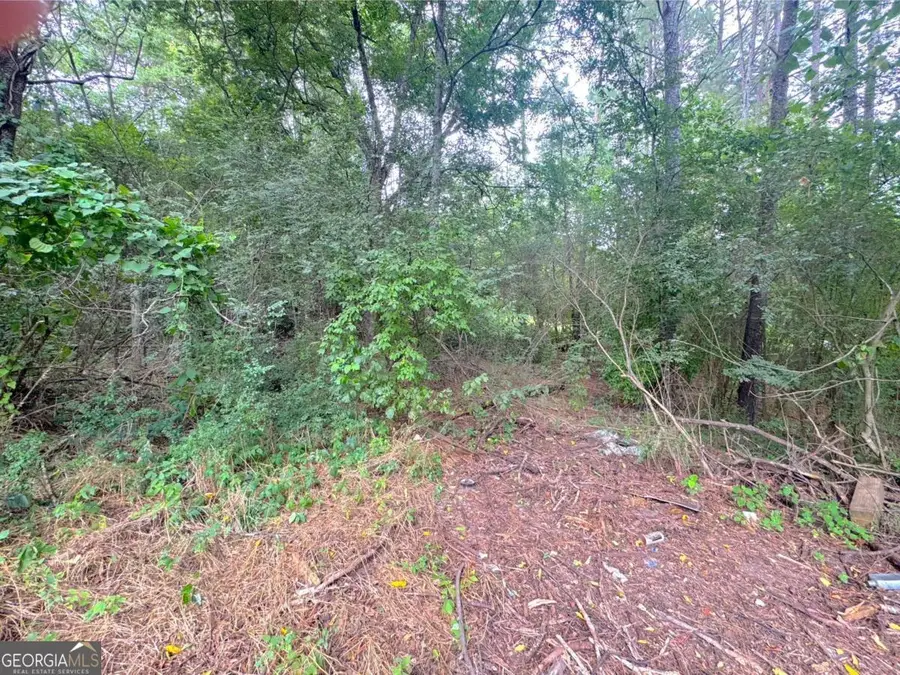 0 Lewis Road, Cartersville, GA 30121 - Image #3