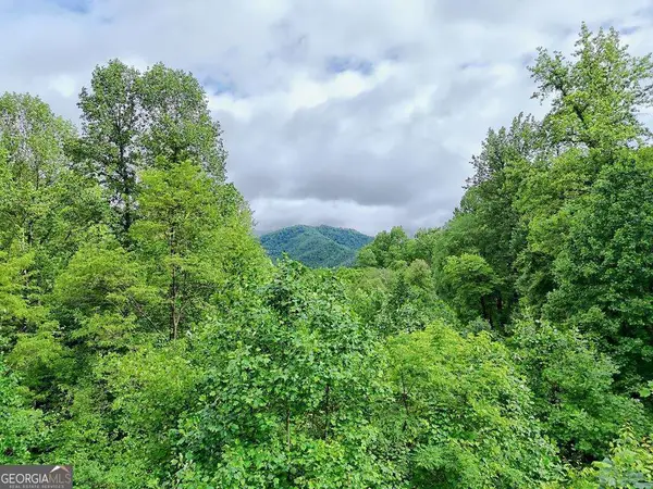 L2 Georgianna Lane, Bryson City, NC 28713