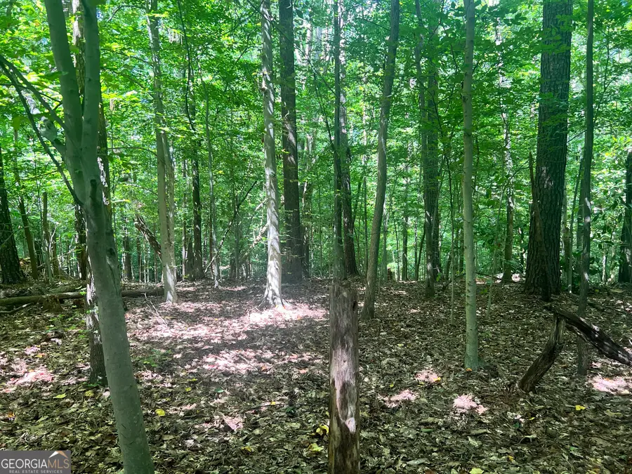 0 Miller Street, Lithia Springs, GA 30122 - Image #2