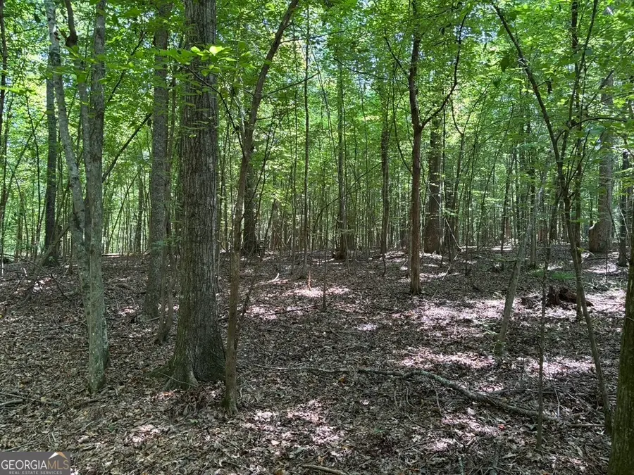 0 Greensboro Hwy, Washington, GA 30673 - Image #2