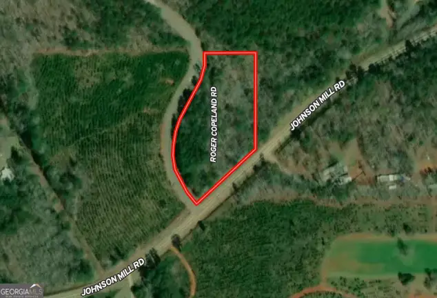 2.03 AC Johnson Mill Road, Hamilton, GA 31811 - Image #1