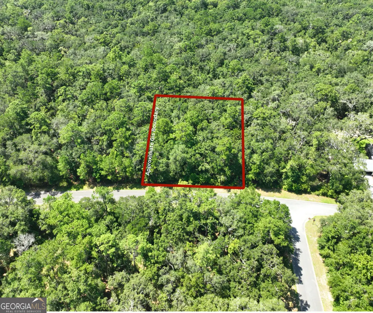 LOT 50 Tar Flower Trail, Waverly, GA 31565 - Image #1