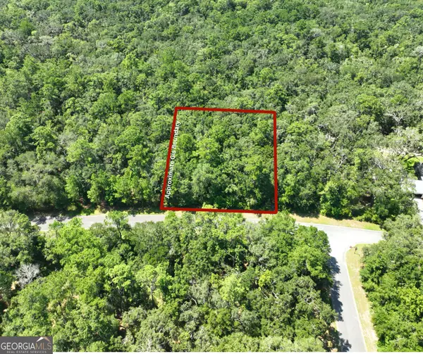 LOT 50 Tar Flower Trail, Waverly, GA 31565