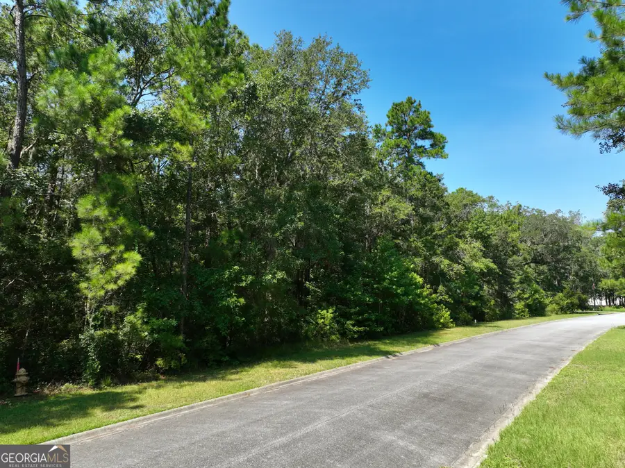 LOT 50 Tar Flower Trail, Waverly, GA 31565 - Image #3
