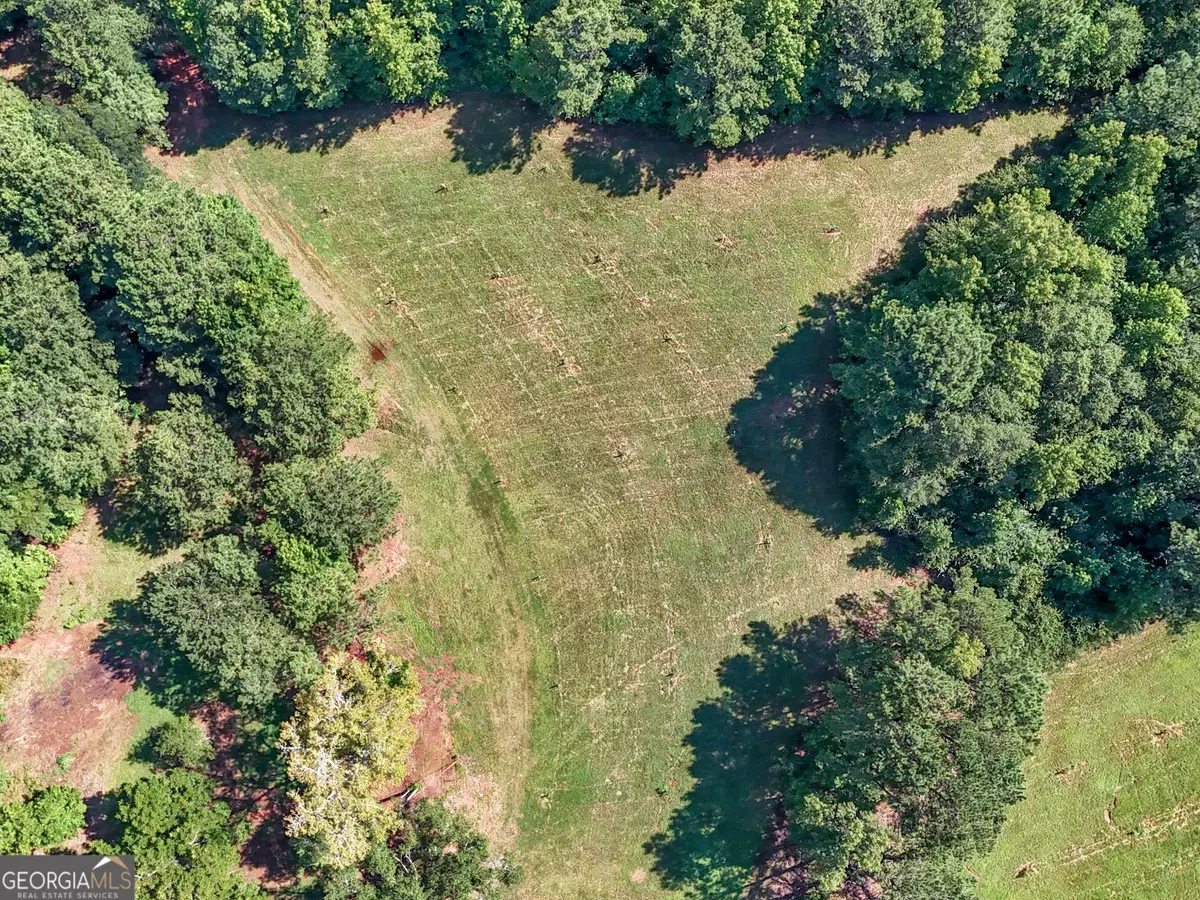 7333 White House Parkway, Warm Springs, GA 31830 - Image #1