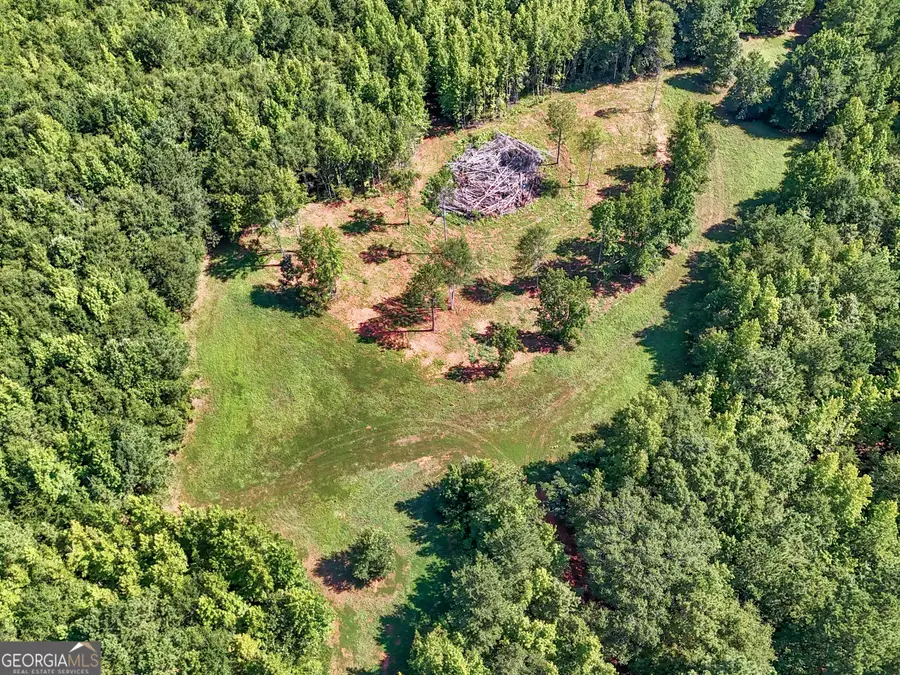 7333 White House Parkway, Warm Springs, GA 31830 - Image #2