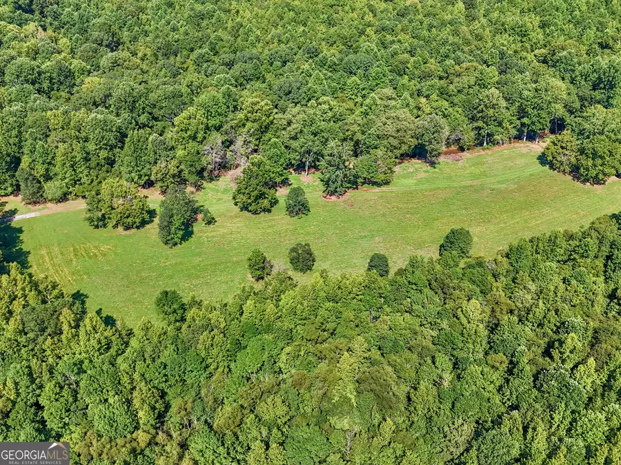 7333 White House Parkway, Warm Springs, GA 31830 - Image #3