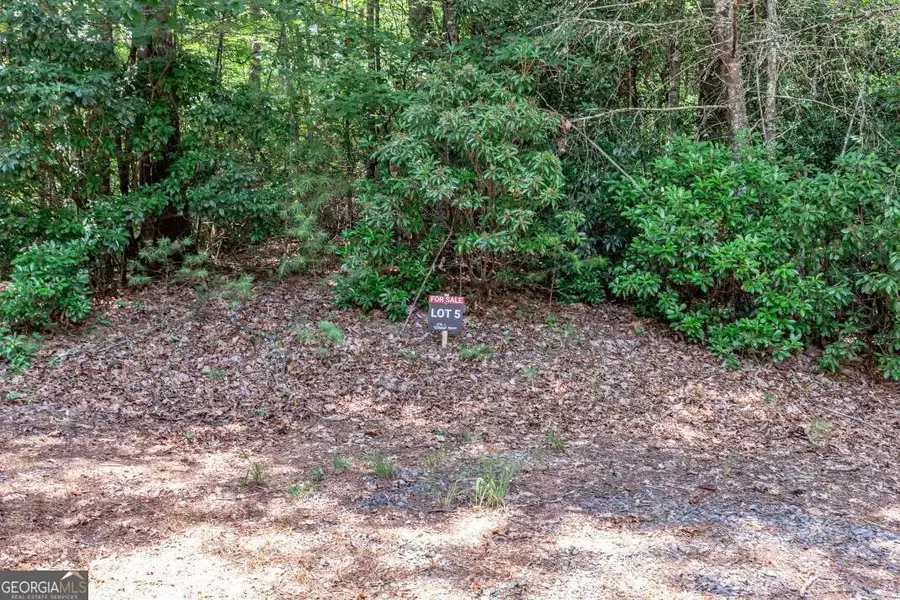 LOT 5 Rocking Chair Ridge, Mineral Bluff, GA 30559 - Image #3