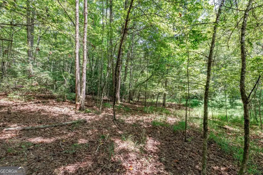 LOT 13 Rocking Chair Ridge, Mineral Bluff, GA 30559 - Image #3