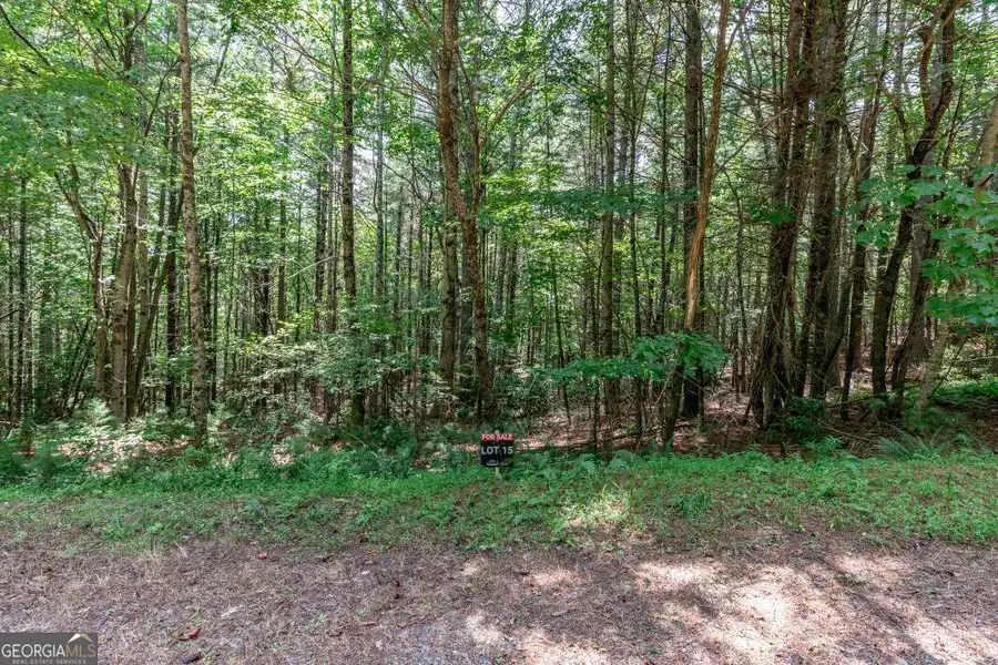 LOT 15 Rocking Chair Ridge, Mineral Bluff, GA 30559 - Image #3