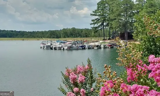 8235 Tanglewood Court, Villa Rica, GA 30180 - Image #3